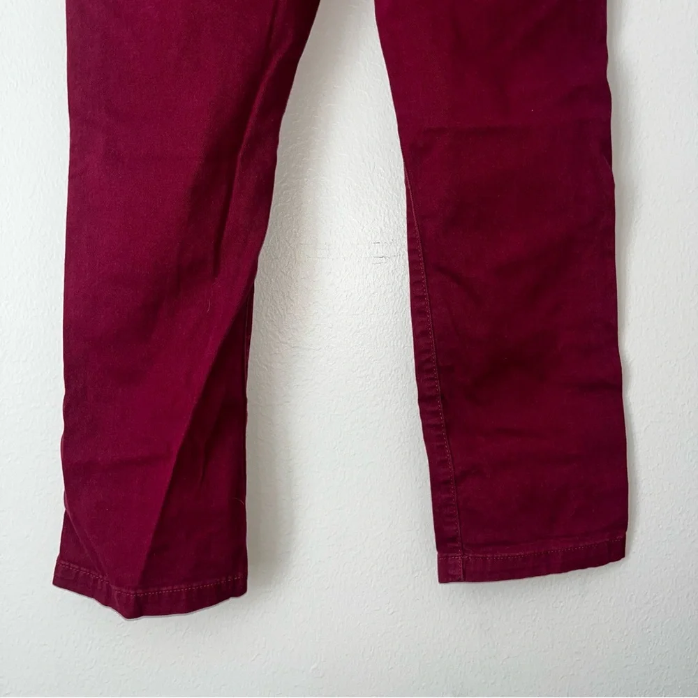 TCP Burgundy Chino‎ / SZ 10 H